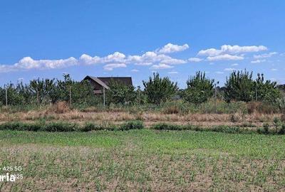 Teren de 1000 mp, în Vânători - 1