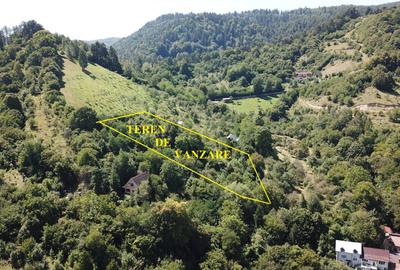 Teren in Scheii Brasovului inconjurat de natura