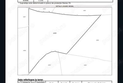 4.86euro mp - Teren casa intravilan deschidere 40m - 2650mp - 1