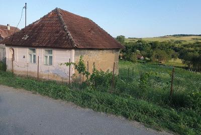 Teren de 3300 mp, în Firminiș - 3