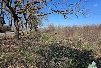 TEREN INTRAVILAN 24100 MP AGIGEA - 5