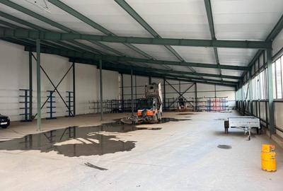 Hala de inchiriat industriala 1000/2000 si 5000 m2 - 3