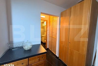 Apartament cu 2 camere decomandat în Valea Rosie - 10