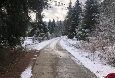 Teren de 6000 mp, în Panaci - 3