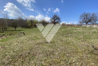 Teren Extravilan de 6630 mp - Cisnadioara - 5