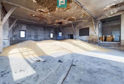 Teren și hale pe calea Aradului în Periam - 3