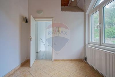 TRAIAN DEMETRESCU 15 | DOUA CASE CU PANORAMA | 3.140 MP TEREN - 56