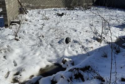 Spațiu comercial, în Trivale - 5