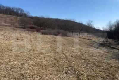 Teren de 20000 mp, în Central - 2