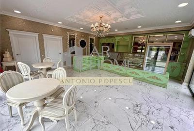 Vanzare spatiu comercial si curte generoasa, in Paulestii Noi - 3