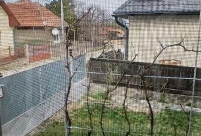 Casă cu 3 camere cu Teren 579 Mp în Moldovenești - 6