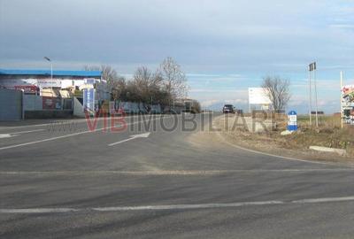 Teren de 61830 mp, în Belciugatele - 4