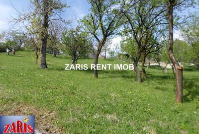 Teren de 3658 mp, în Bobicești - 7