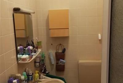 De vanzare casa mare , zona Brancoveanu, suprafata utile 350 mp - 19
