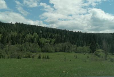 Teren de 45000 mp, în Ortoaia - 5