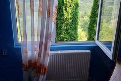 Vand casa Vi?eu de Sus str Colnice - 2