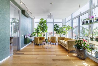 Inchiriere - Cladire Birouri cu 30 locuri parcare - Pipera - 12