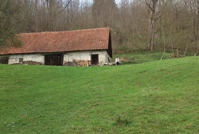 Casă cu 4 camere cu Teren 26000 Mp în Hălmagiu - 4