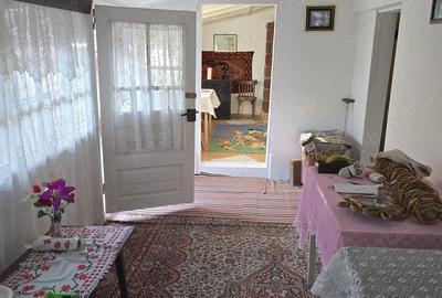 Casa la tara in Jud. Buzau - 8