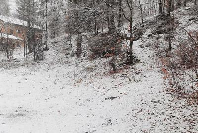 Teren intravilan situat in Busteni - 8