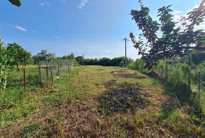 Casa si teren (79 km Bucuresti - 32 km Ploiesti - 17 km Targoviste) - 5