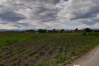 Teren de 2325 mp, în Triaj - 12