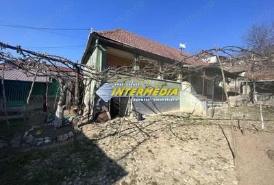 Casa in Cricau cu 3 camere de vanzare teren de 1300 mp - 2