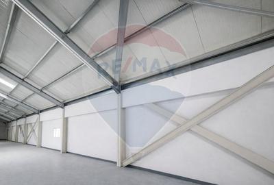 Hala 700mp, deschidere 9m, poductie, depozitare Pipera Plaza - 6