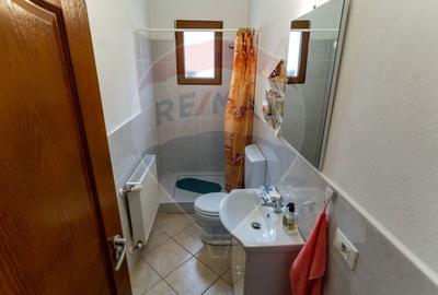 Casă individuală cu 6 camere cu Canalizare în Băcia - 14