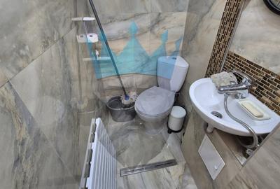 Apartament 2 Camere Unirii Bucuresti - 5