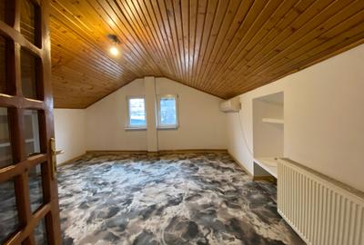 Lovely house with private pool in Herastrau - 11