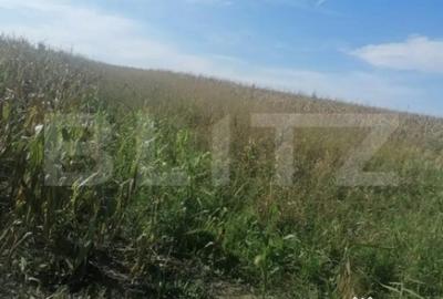 Teren de 3000 mp, în Miroslava - 2