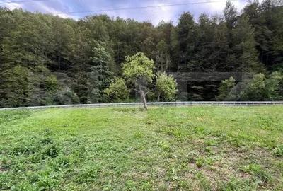 Casă cu 4 camere cu Teren 16605 Mp în Întregalde