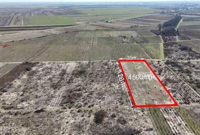 Teren de 21400 mp, în Bolotești - 2