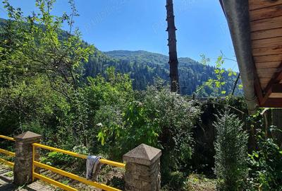 Casă cu 6 camere cu Teren 4600 Mp în Tarcău - 1