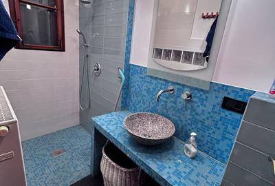 In cadrul unei cladire simbolice demne de remarcat- PALATUL BANATEAN In cadrul unei cladire simbolice demne de remarcat- PALATUL BANATEAN - 13