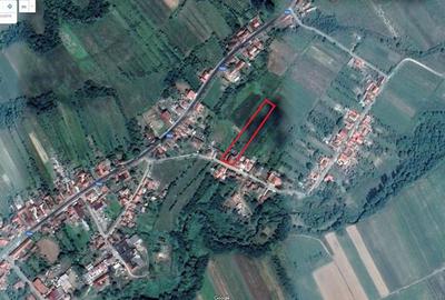 Casă cu 5 camere cu Teren 2268 Mp în Tăgădău - 7