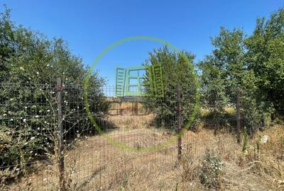 Teren Construcții intravilan de 1174 mp, în Șimnicu de Sus - 6