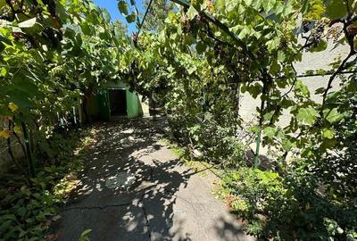 Casa cu teren 1394 mp zona Mehala - 4