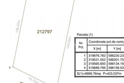 Teren 10.000 mp Giurgiului Tiparnitei - 6