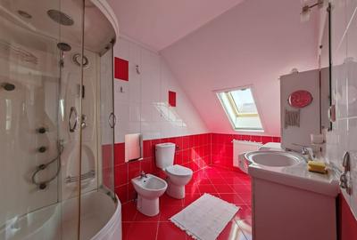 Casă individuală cu 5 camere cu Teren 500 Mp în Mogoșoaia - 24