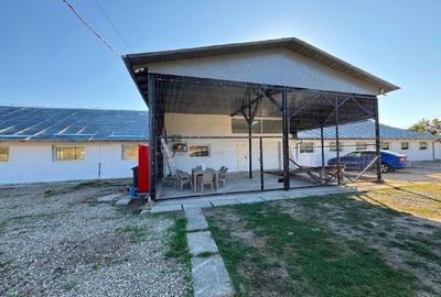 Hala  industriala productie - 1