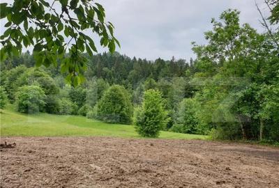 Teren de 923 mp, în Bucium - 2