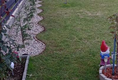 Casa 4 camere Joita an 2021 direct proprietar - 10