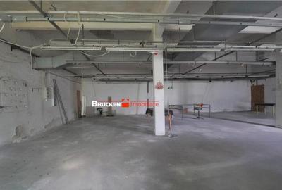 OPORTUNITATE INVESTITIONALA | HALA VASCAU - 10