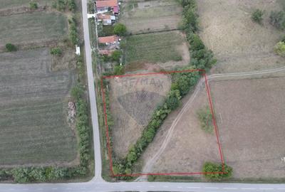 Teren intravilan 4,215mp Tes / comuna Brestovat - 2