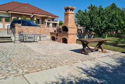 Teren in Sat Costi - 6