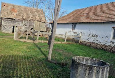 Casă cu 3 camere în Sanislău - 8