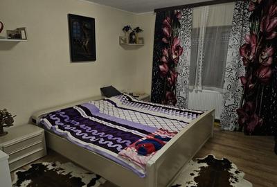 Casa la tara cu 3 camere suprafata utila 120mp, Suplacu de Tinca Bihor - 12