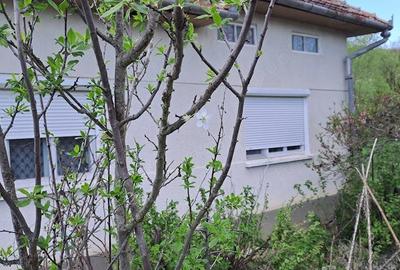 Casă cu 3 camere cu Teren 1500 Mp în Gurasada - 8